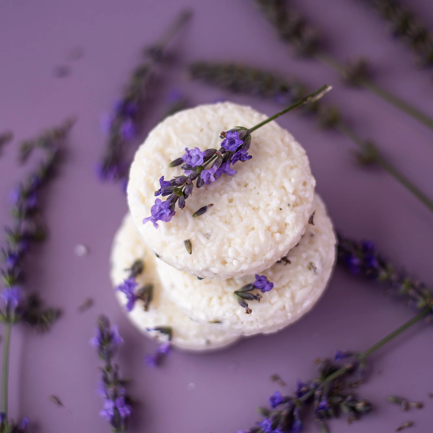 Lavender Shampoo Bar 3 Lavender Shampoo Bar